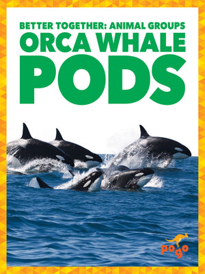 cover image of Orca Whale Pods